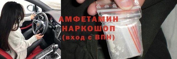 гашик Алексеевка
