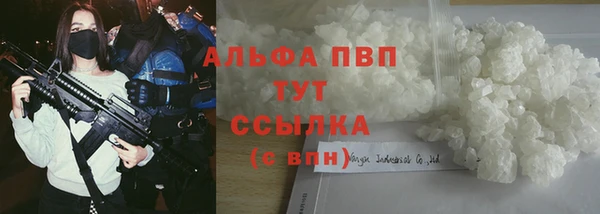 гашик Алексеевка