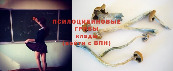 mdpv Алзамай