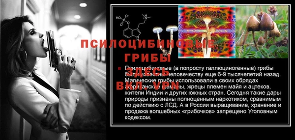 mdpv Алзамай
