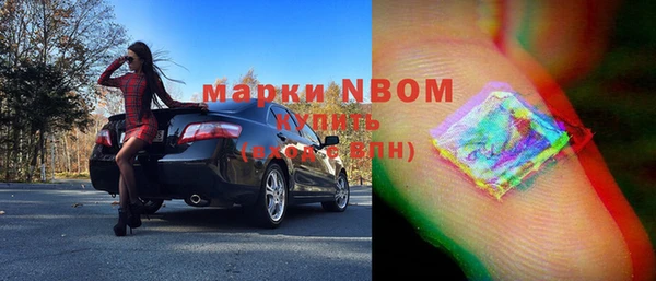 гашик Алексеевка