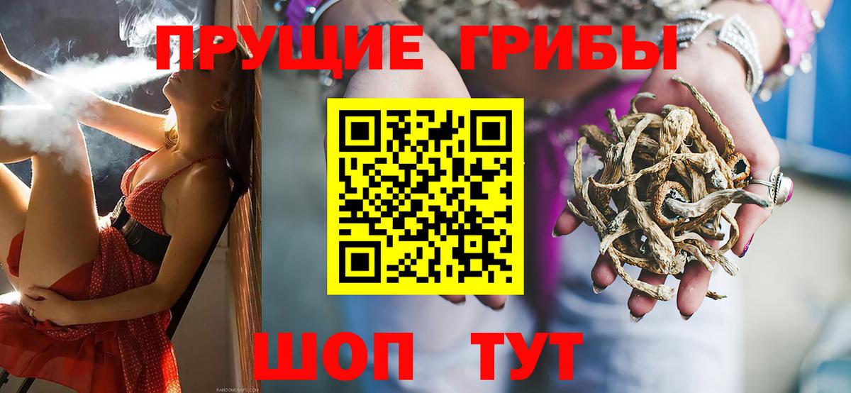 Галлюциногенные грибы MAGIC MUSHROOMS  Вход с VPN  Псилоцибиновые грибы Magic Shrooms  Арзамас 